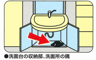���ʑ�̎��[���A���ʏ��̋�